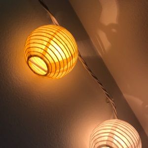 Meet your Posher, Maddie